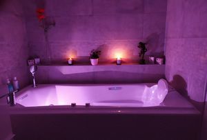 professional bathtub 1