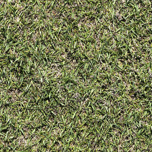 natural grass 1