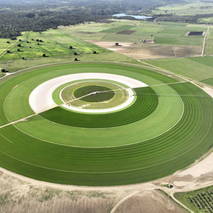 natural grass 1