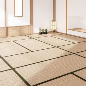 floor mat tatami