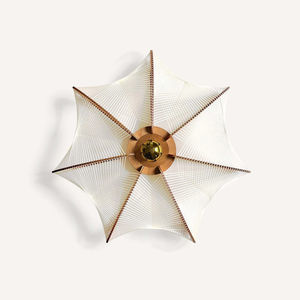 contemporary ceiling light