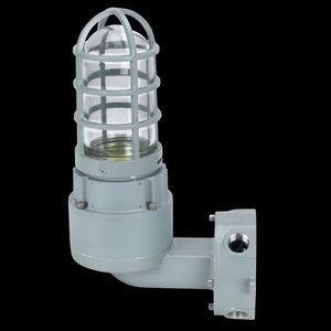 ceiling emergency light 1