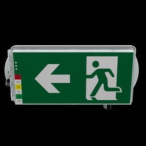 ceiling emergency light 1
