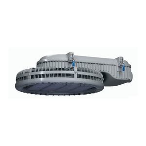 IP65 floodlight 1
