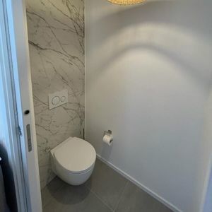 wall-hung toilet