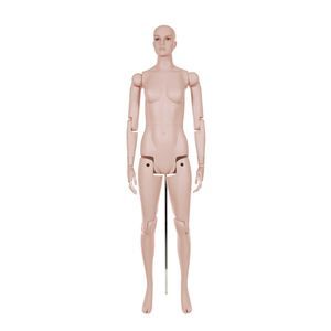 female display mannequin head