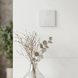 light switch 1