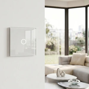 light dimmer switch 1