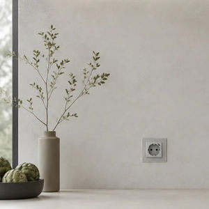 power socket 1