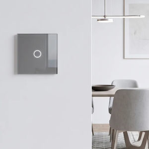 light switch 1