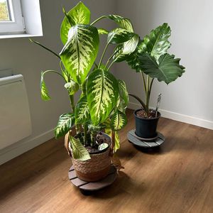 free-standing plant pot holder
