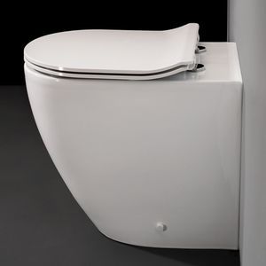 back to wall WC