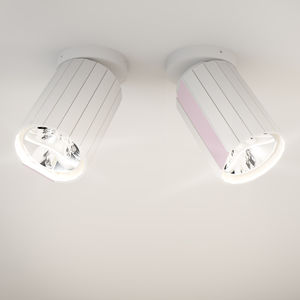 ceiling-mounted spotlight