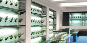 wall-mounted shelf 1