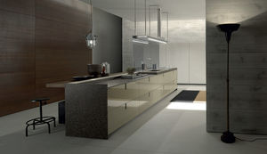 contemporary kitchen
