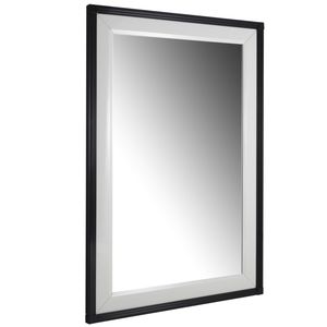 wall-mounted mirror