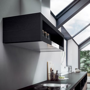 wall-mounted range hood