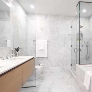 contemporary bathroom / wood veneer