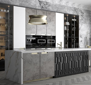 contemporary kitchen
