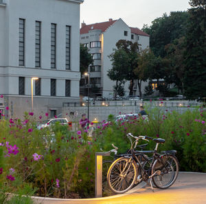 public space bollard light