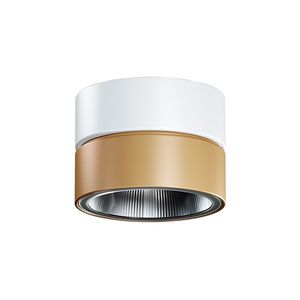 contemporary ceiling light