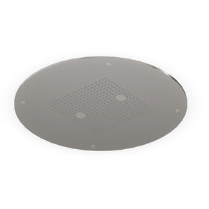 ceiling-mounted shower head