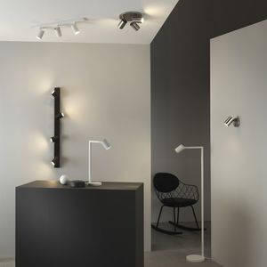 ceiling-mounted spotlight