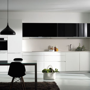 contemporary kitchen 1