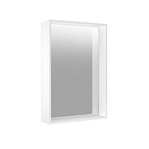 wall-mounted bathroom mirror