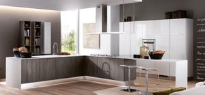 contemporary kitchen 1