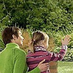 door glass panel / for windows / transparent