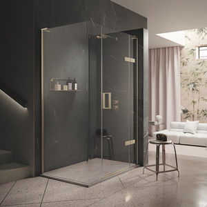 swing shower screen 1