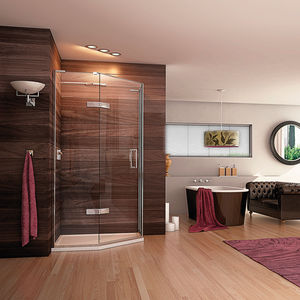 swing shower screen 1