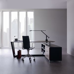 wood veneer desk
