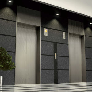 electric elevator
