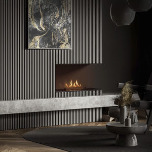 bioethanol fireplace