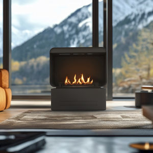 bioethanol fireplace