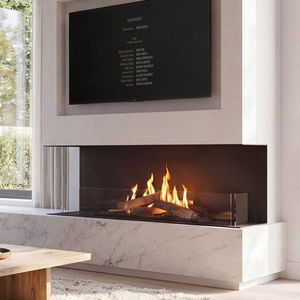 3-sided fireplace insert 1