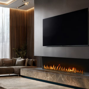 central fireplace insert