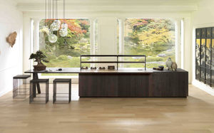 contemporary kitchen