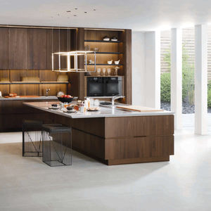 contemporary kitchen / wood veneer / particle board / steel