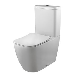 back to wall toilet