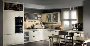contemporary kitchen 1