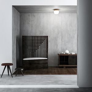 contemporary ceiling light