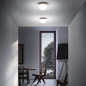 contemporary ceiling light