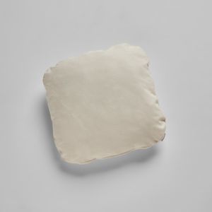 sofa cushion 1