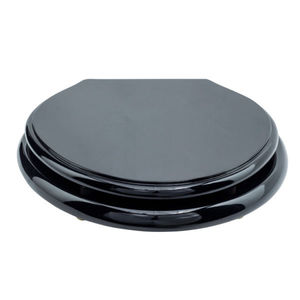 lacquered wood toilet seat
