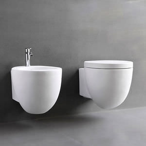 wall-hung toilet