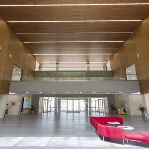 wood veneer ceiling
