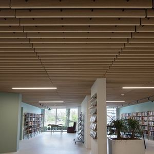 wood veneer suspended ceiling